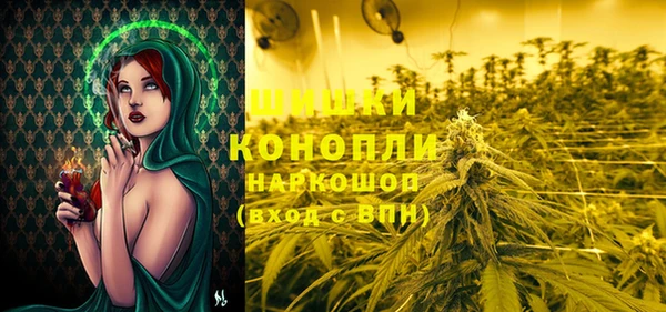 индика Белоозёрский