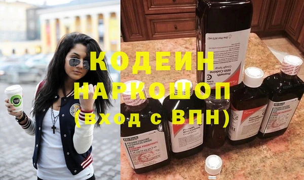 хмурый Белокуриха