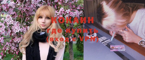 хмурый Белокуриха
