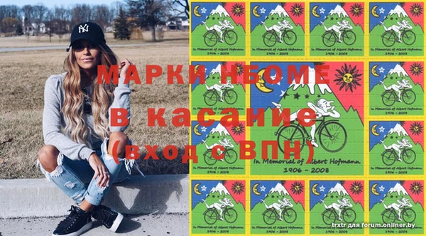 хмурый Белокуриха