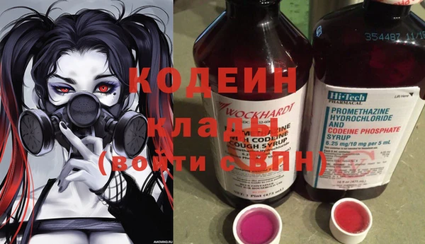 хмурый Белокуриха