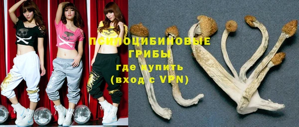 индика Белоозёрский