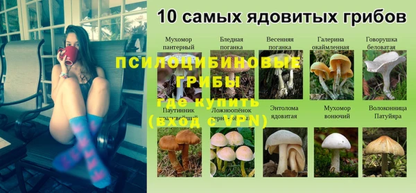 индика Белоозёрский