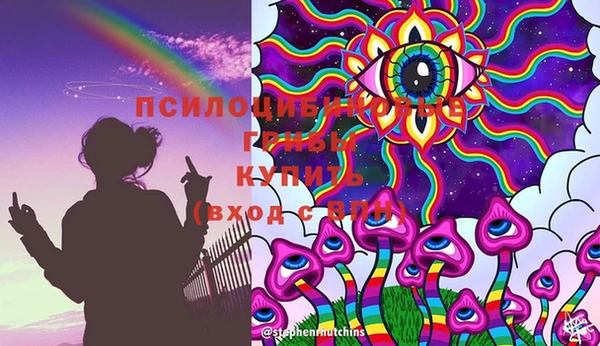 хмурый Белокуриха