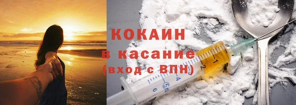 хмурый Белокуриха