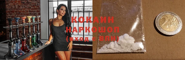 хмурый Белокуриха