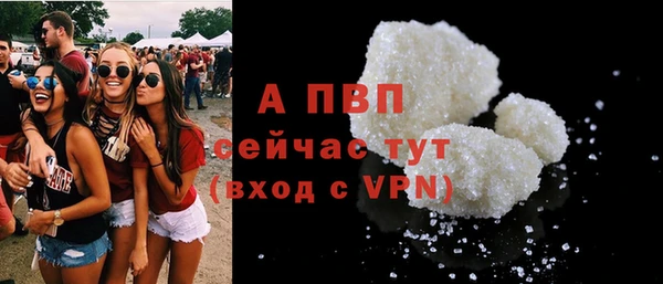индика Белоозёрский
